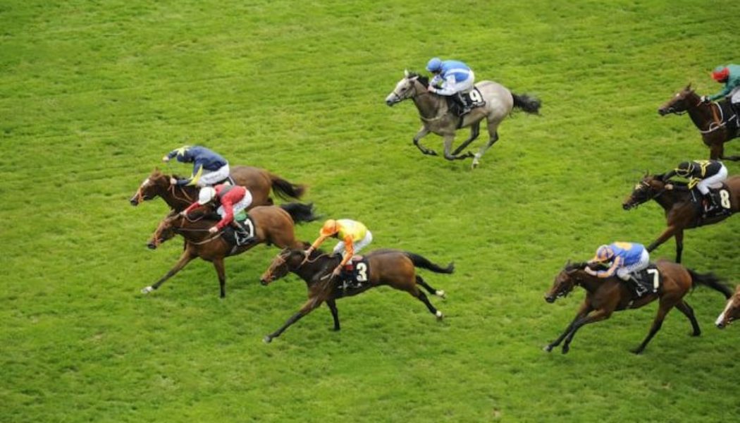 Horse Racing Lucky 15 Tips Today: Four Best Bets on Monday 30th May