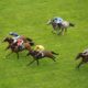 Horse Racing Lucky 15 Tips Today: Four Best Bets on Monday 30th May