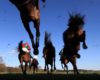 Horse Racing Lucky 15 Tips Today: Four Best Bets on Sunday 29th May