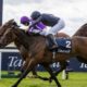 Irish 1000 Guineas Trends & Tips | Best Bets For Sunday’s Curragh Race