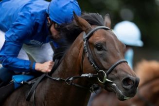 Irish 2000 Guineas Trends & Tips | Best Bets For Saturday’s Curragh Race