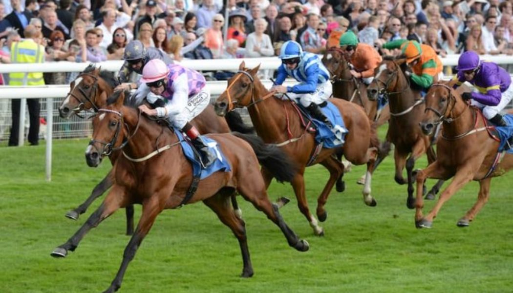 ITV Racing Tips & Trends | York Horse Racing Best Bets: Thurs 12th May