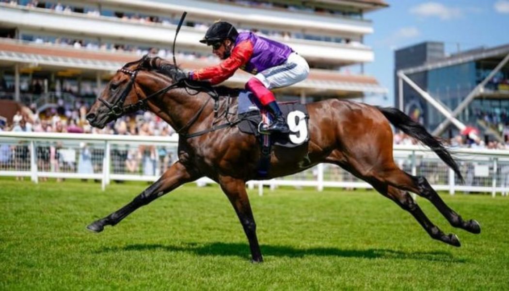 ITV Racing Tips & Trends | York Horse Racing Best Bets: Weds 11th May