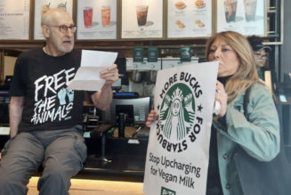 James Cromwell Superglued Himself to Starbucks Counter for PETA Protest