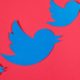 Judge dismisses Donald Trump’s Twitter ban lawsuit