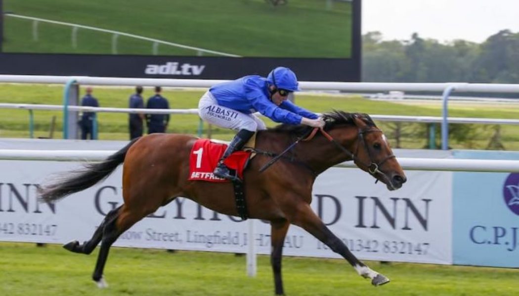 Lingfield Derby Trial Trends and Tips | Best Bets For Saturday’s Race