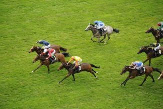 Lucky 15 Tips Today: Four Horse Racing Tips on Friday 27th May