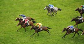 Lucky 15 Tips Today: Four Horse Racing Tips on Sunday 22nd May