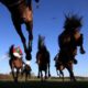 Lucky 15 Tips Today: Four Horse Racing Tips on Wednesday 25th May