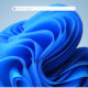 Microsoft tests Windows 11 desktop widgets with web search bar