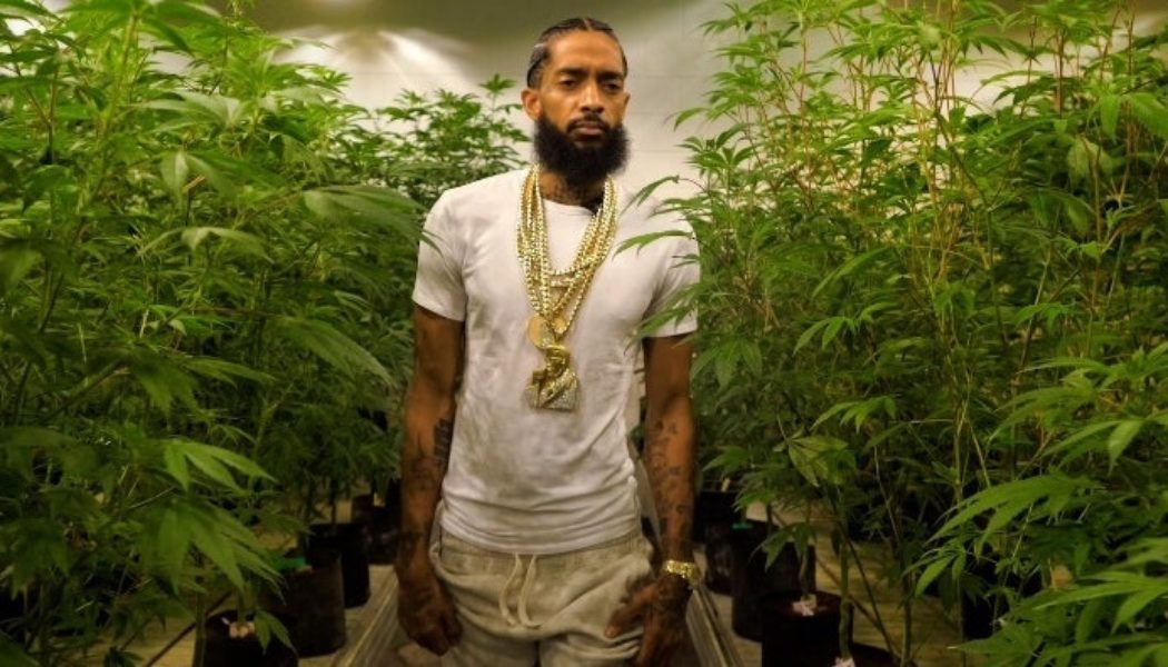 Nipsey Hussle Cannabis Documentary Released: Watch