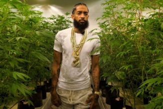 Nipsey Hussle Cannabis Documentary Released: Watch