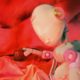 Paria Farzaneh Explores AI Through Beats Collaboration