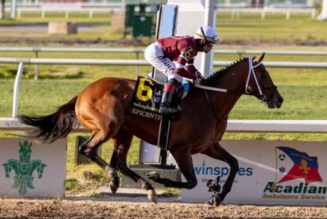 Preakness Stakes Each-Way Betting Tips | Pimlico Tips on May 21st