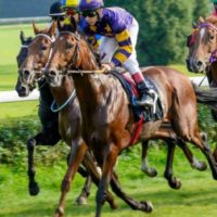 Racing Tips: Andrew Mount’s Spreadex Analysis – Saturday, May 21st