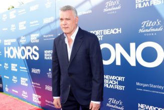 Ray Liotta, Goodfellas Actor, Dies at 67