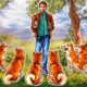 Shiba Inu has a new use case — Buying land in SHIB: The Metaverse