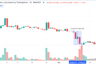 SpaceX to follow Tesla in accepting DOGE payments for merch: Elon Musk