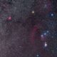 Stargazing in the UK is the best it’s been in over a decade