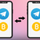 Telegram Introduces Option to Send Cryptocurrency
