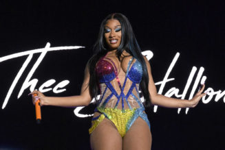 Today Is Megan Thee Stallion Day in Houston