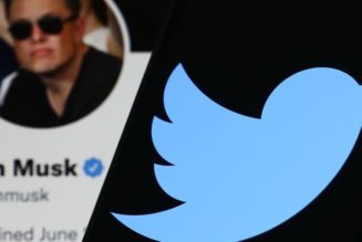 Twitter CEO Parag Agrawal Responds to Elon Musk Putting Deal on Hold