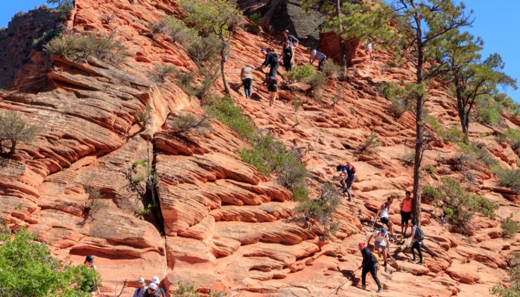 When nature calls: why going to the toilet in the outdoors may be about to change