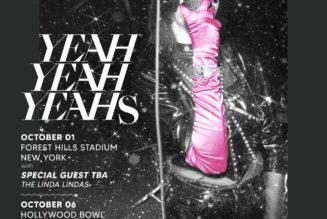 Yeah Yeah Yeahs Sign to Secretly Canadian, New Music Coming This Fall