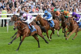 York Lucky 15 Tips: Four Horse Racing Best Bets on Friday 13th May