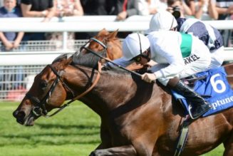 York Lucky 15 Tips: Four Horse Racing Best Bets on Thursday 12th May
