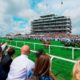 2022 Epsom Derby Odds, Time, Date & How To Watch | Derby Questions