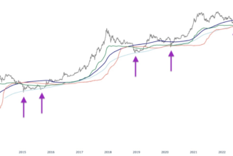 5 indicators traders can use to know when a crypto bear market is ending