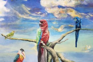 Alex G Announces New Album God Save the Animals, Shares “Runner”: Stream