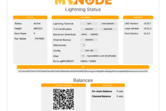 Can you earn passive income running a Lightning node?