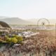 Coachella Announces 2023 Festival Dates