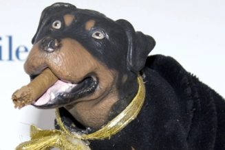 Colbert Production Crew Arrested At US Capitol After Taping Triumph the Insult Comic Dog Skit