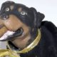 Colbert Production Crew Arrested At US Capitol After Taping Triumph the Insult Comic Dog Skit