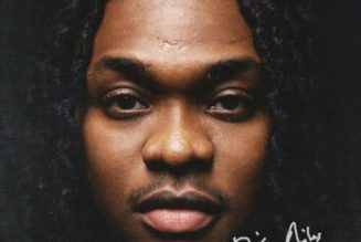 Dice Ailes – Zombie