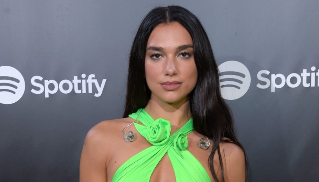 Dua Lipa Sued (Again) for Posting Paparazzi Photos of Herself to Instagram