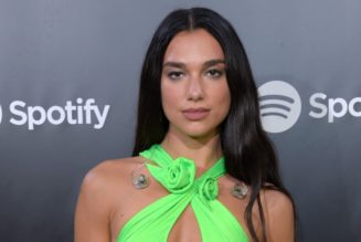 Dua Lipa Sued (Again) for Posting Paparazzi Photos of Herself to Instagram
