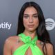 Dua Lipa Sued (Again) for Posting Paparazzi Photos of Herself to Instagram