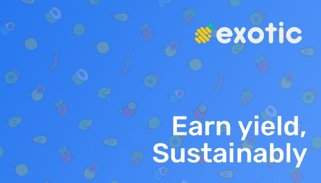 Exotic Markets Interview: Generating yield by selling optionality