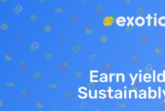 Exotic Markets Interview: Generating yield by selling optionality