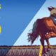 Fitzdares Royal Ascot Betting Offers | £30 Horse Racing Free Bet