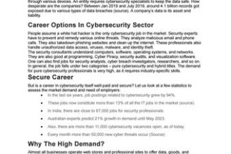 How a Career in Cybersecurity Can Secure Your Future