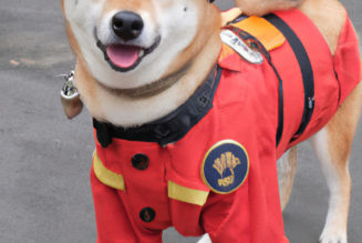 How DALL-E could power a creative revolution