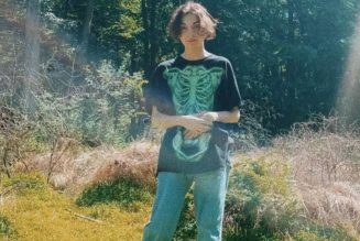 Jane Remover (fka dltzk) Shares New Songs