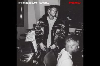 Listen to Fireboy DML – Peru