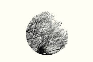 Makaya McCraven Announces New Album, Shares New Song “Seventh String”: Listen