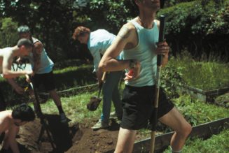 Marlon Williams Announces New Album My Boy, Shares Song: Listen